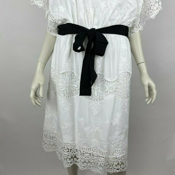Ann Taylor Lace Belted Dress V-neck Lined Embroidered‎ Cotton Women 12 NWT $169 - Picture 5 of 14